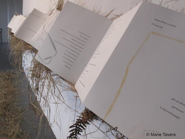 Litière de la lumière 2 Marie Tavera